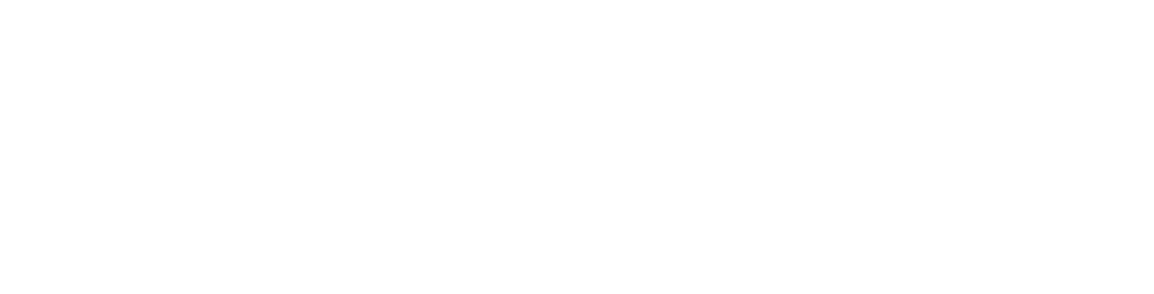 MPI Media Group